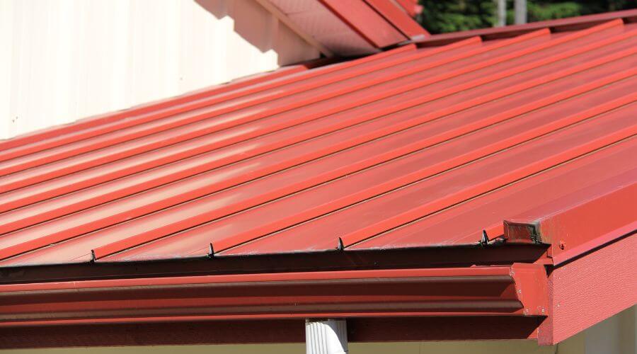 Gutter Debris Removal in Lake Wilson, MN