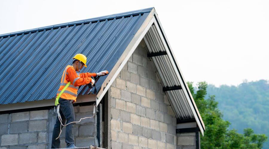 Professional gutter cleaning in Lake Wilson, MN